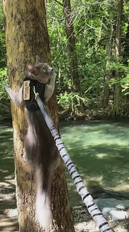 Guardian Cat Harness